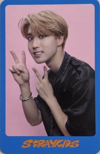 DICON D'FESTA 雜誌卡 