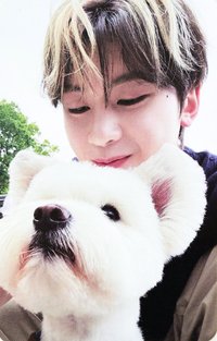 正規一 專輯卡 團封 狗狗ver.