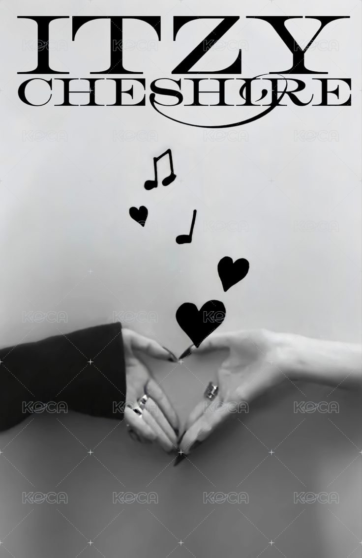 CHESHIRE 專輯卡 雙人卡 背面