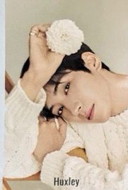 代言 代言卡 Huxley