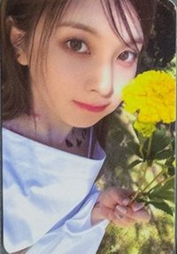 EL預售