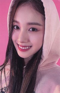 Teddy Bear wm 特典卡 