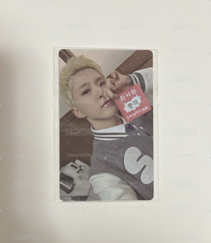 SEVENTEEN BSS WVS LD HOSHI
