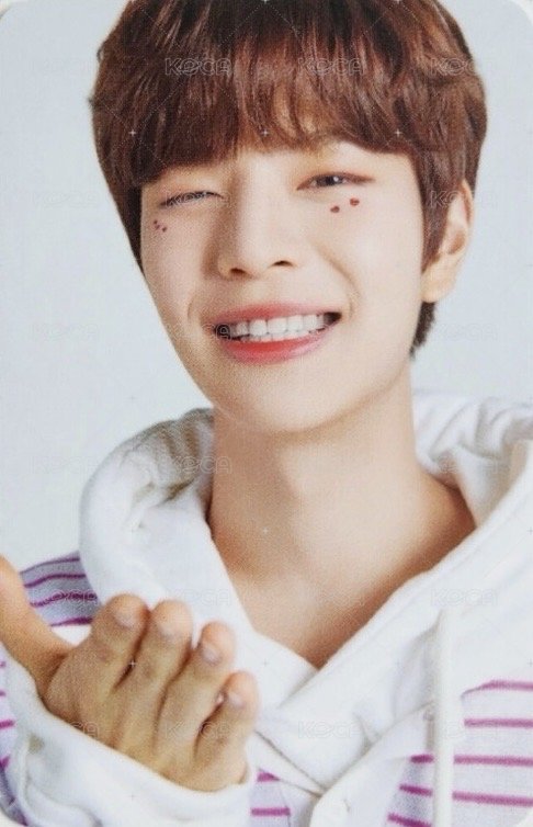 NACIFIC 8.0 B版 代言卡  背面