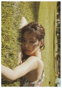 2019夏日日記 明信片 白版