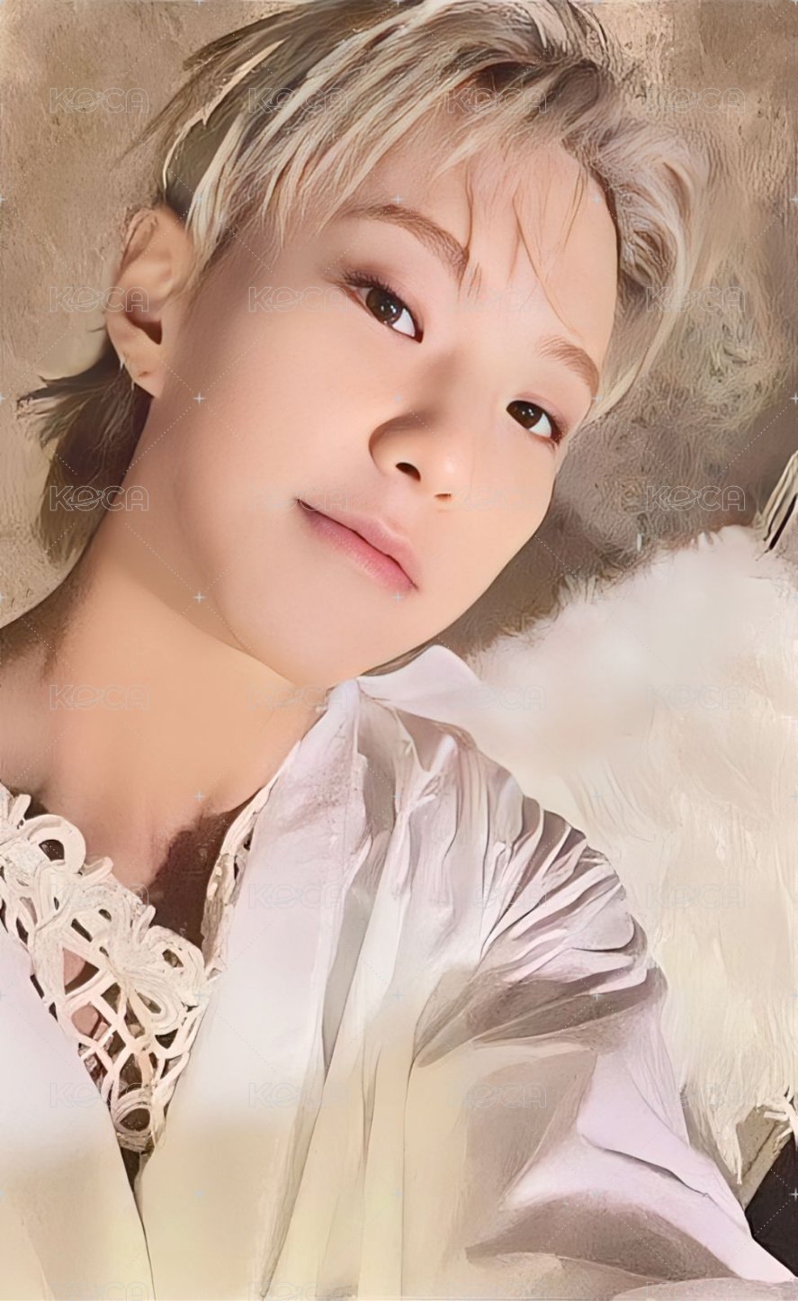 精選專 wvs 感謝祭 特典卡  正面