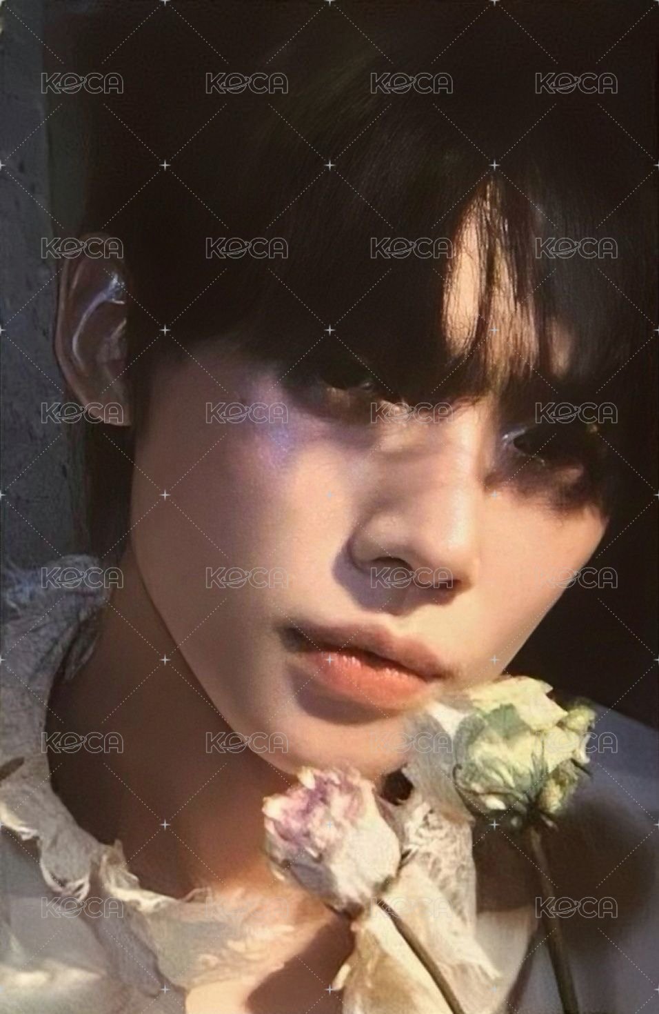 迷六 mk 特典卡  正面