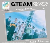 BANDAI BANDAI 扭蛋盲盒 資料夾