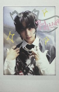 BTL 專輯卡 WVS Albums ver.拍立得