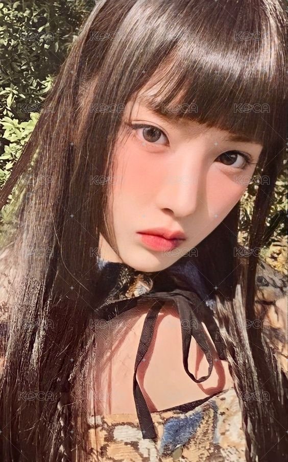 expérgo target 預售 特典卡  正面