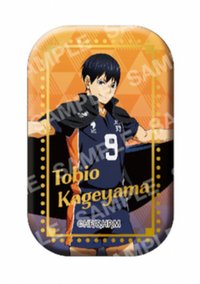 7net 限定 徽章 隊旗方