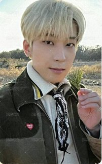 正四 wvs PB ver 特典卡  正面