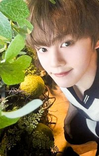 一巡TW 電影卡 日本