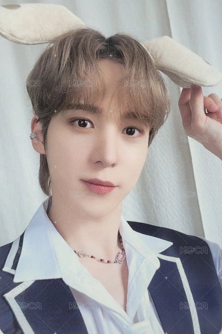 ANITEEZ IN ILLUSION 隨機卡  正面