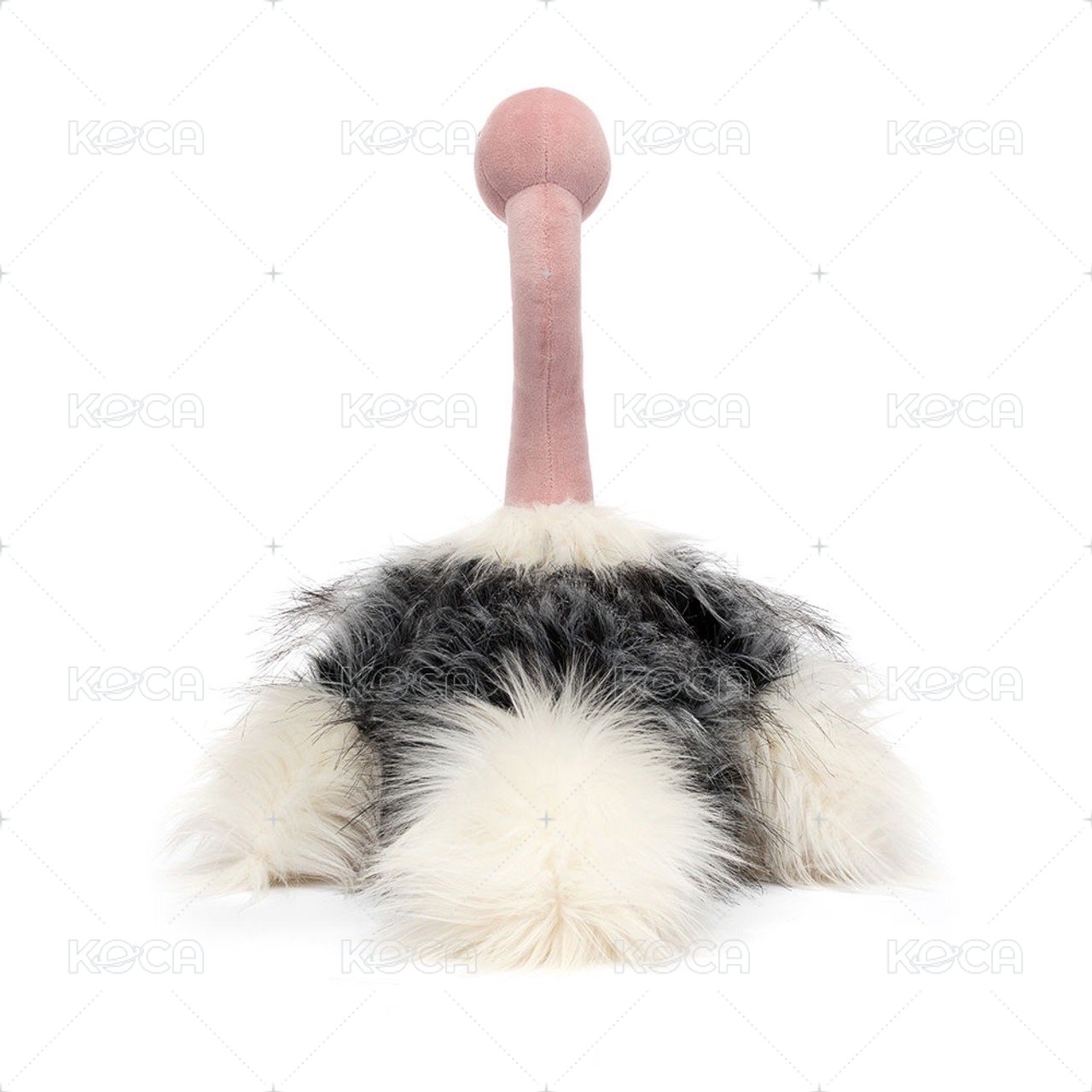 Rmonda Ostrich 鴕鳥