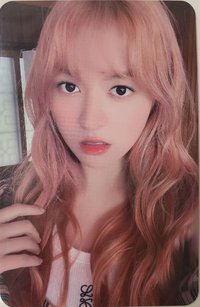 仲夏夜 wm 周邊卡 貼紙卡