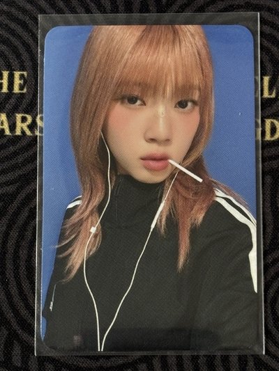 CURIOUS MS特典Kotoko🦌