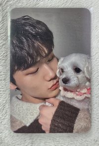 IT'S ALL RIGHT PART.3 el 幸運卡 狗狗卡