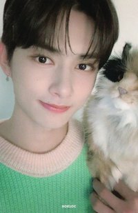 20‘年曆 年曆卡 卡