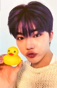 迷四 sw 特典卡 鴨子 ver.