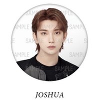 FOLLOW 日巡 徽章 