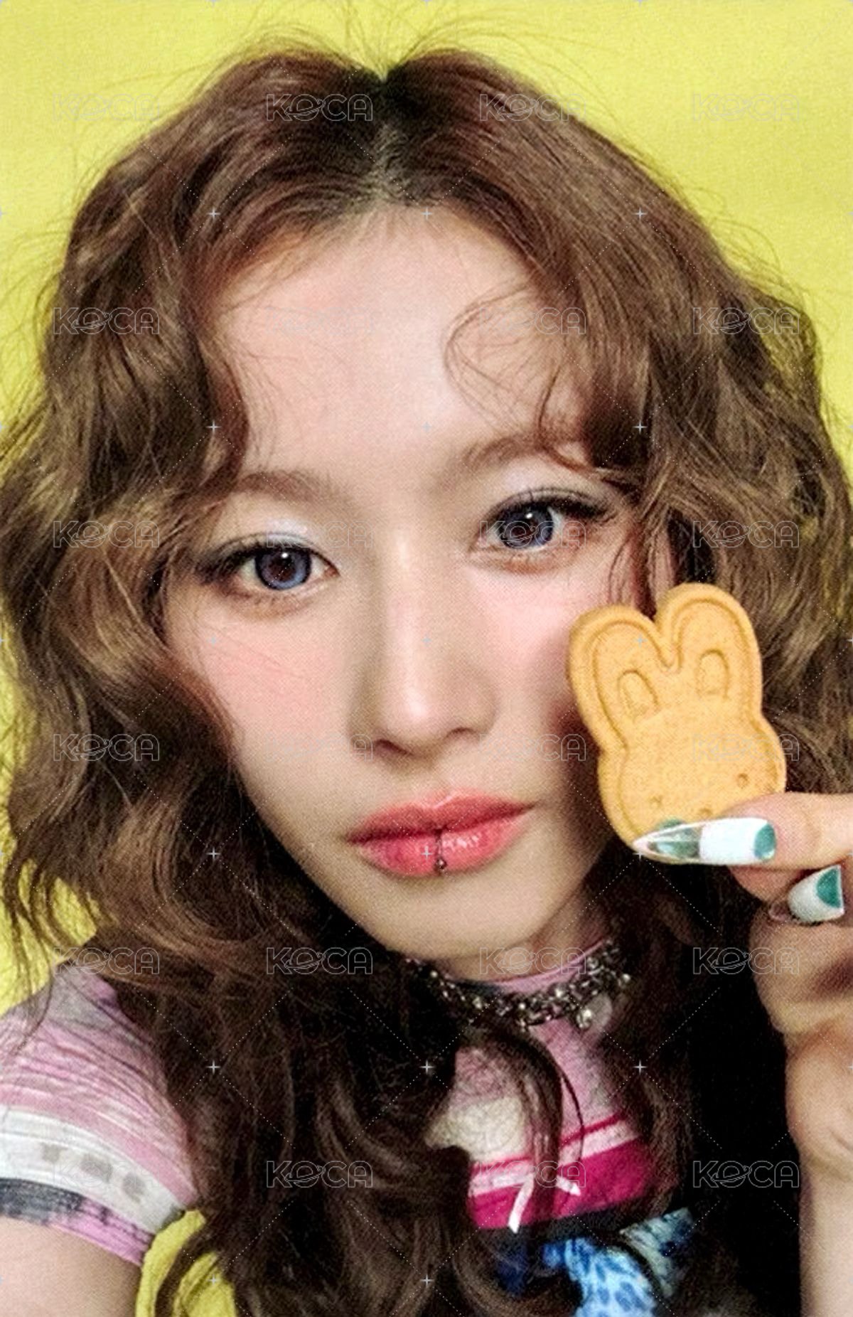 正規四 sw 團封 預售 特典卡  正面