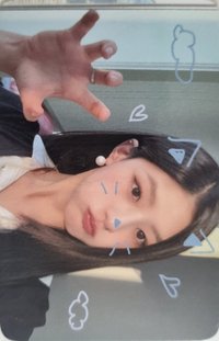 224 ms 線下1.0 簽售卡 寵物鏡頭