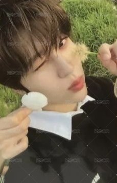 Steady 隨機卡 A版 正面