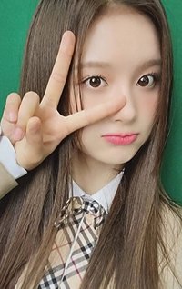 ENTWURF bdm 簽售卡 