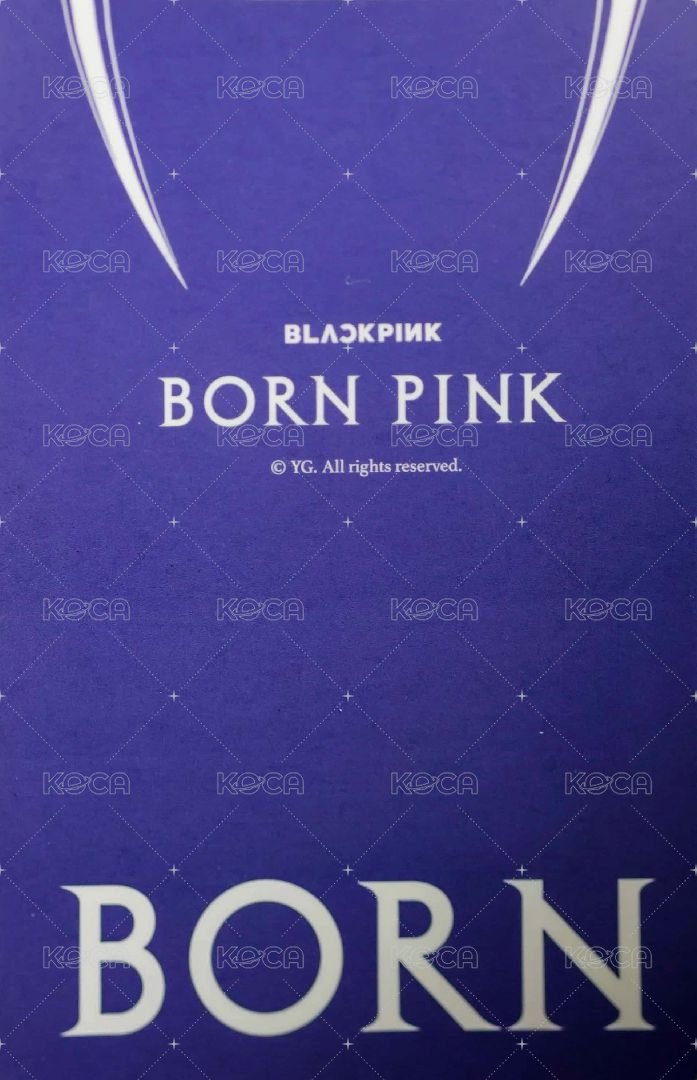 BORN PINK 周邊卡 鐵盒卡 背面