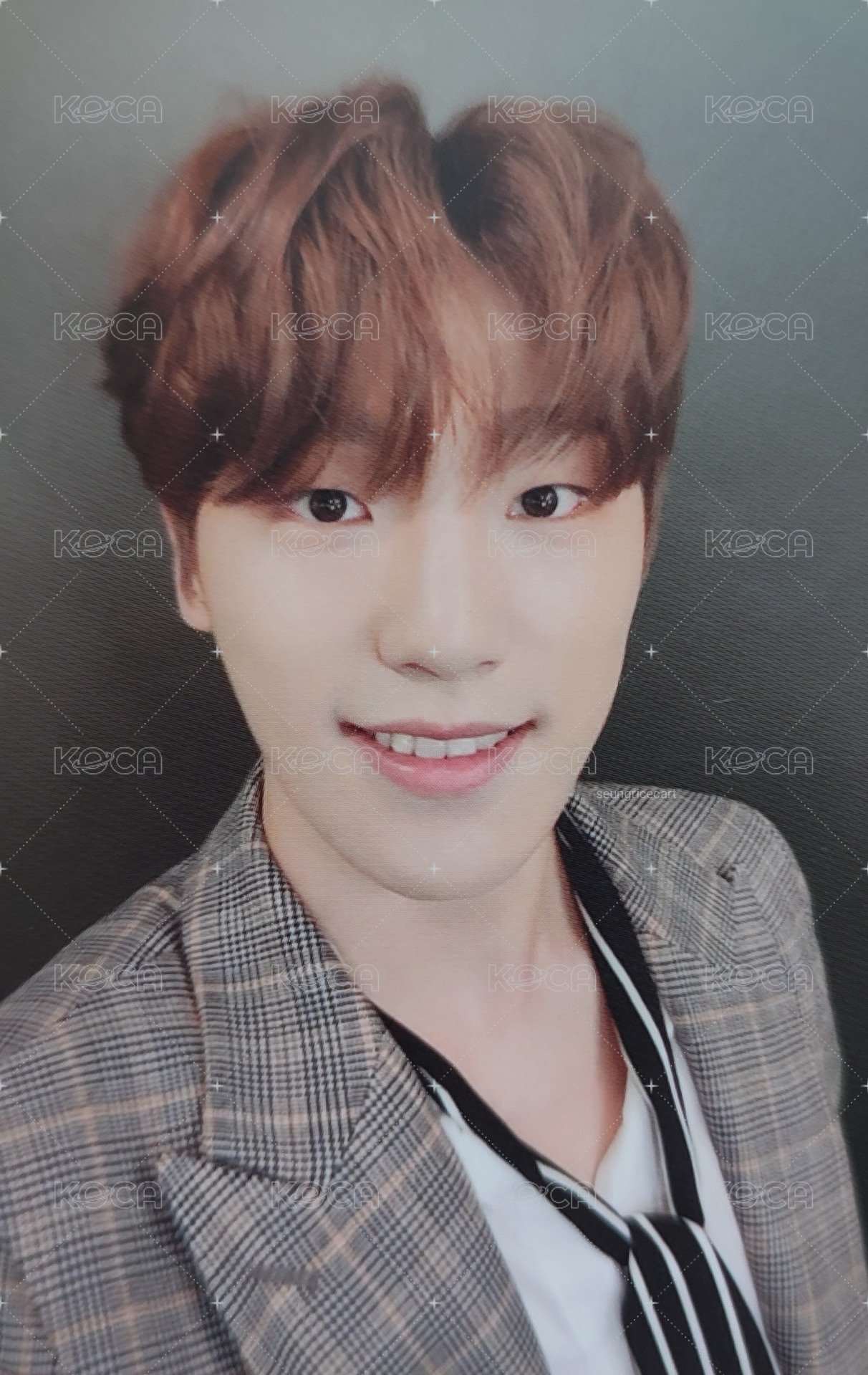 特一 專輯卡 PLOT ver 正面