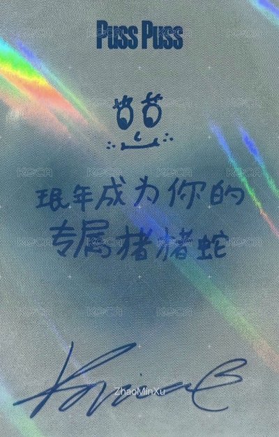 karina puss雜誌兩本+海報+粉髮中背柚