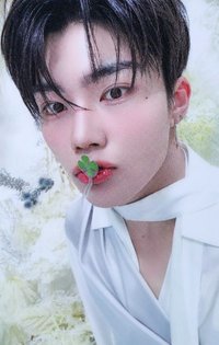 迷五 sr 特典卡 四葉草ver.