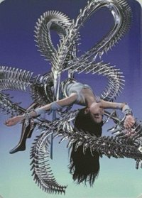 Savage 隨機卡 My Artist隨機卡柚