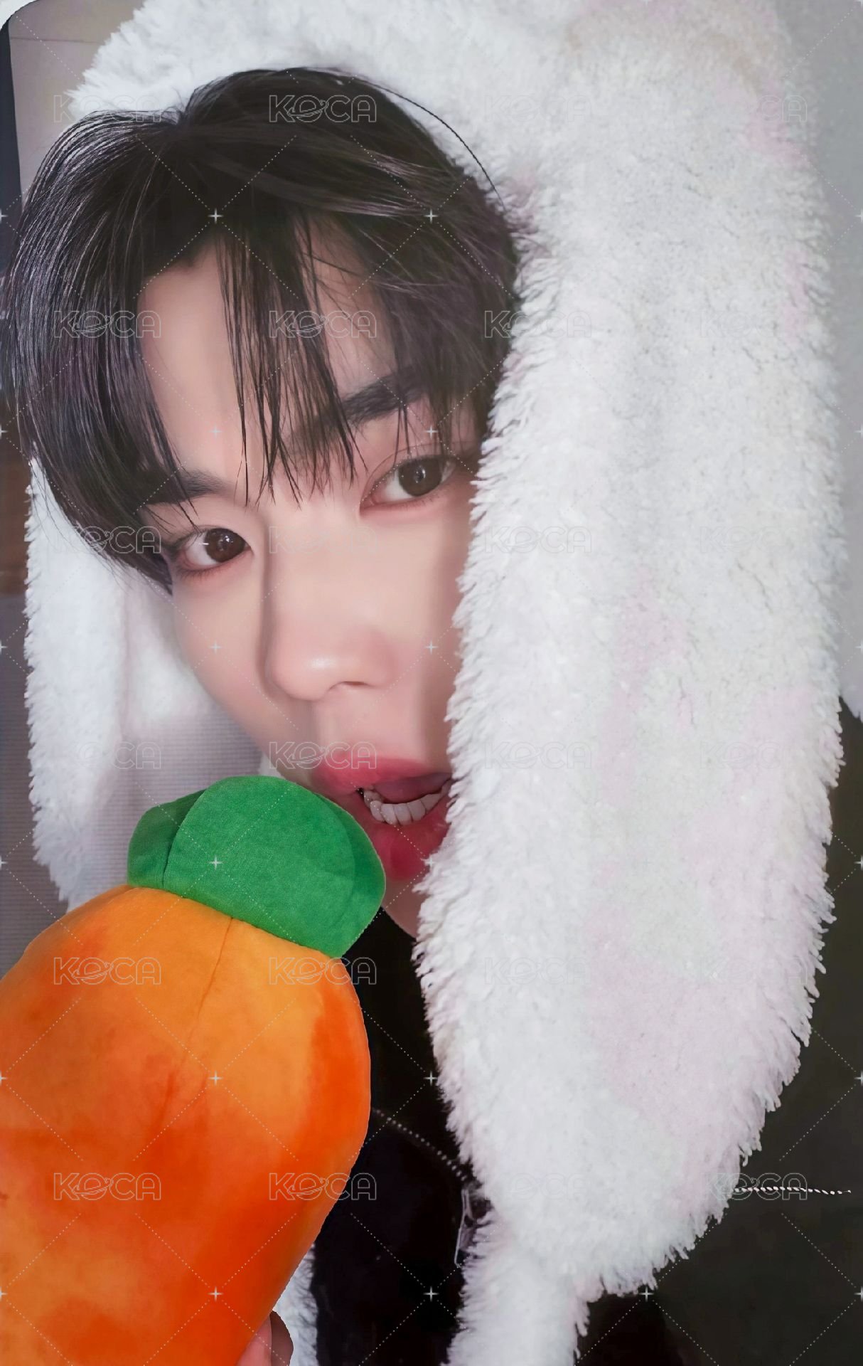 迷五 ms 特典卡 兔毯ver. 正面