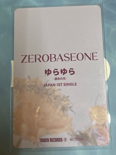 在花花的世界遨遊🌼