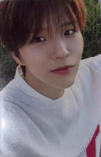 Steady 隨機卡 A版