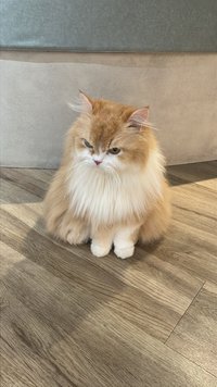 裴真率戒嘟中心