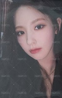 2022世巡 周邊卡 場週卡