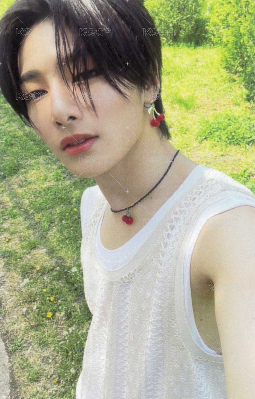 MAXIDENT 專輯卡 T-Crush ver. 正面