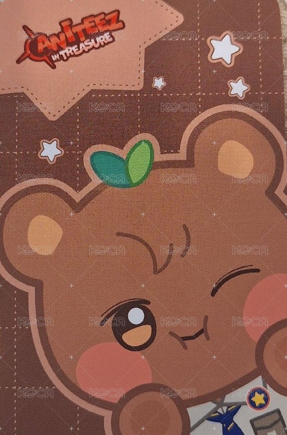 ANITEEZ IN TREASURE 周邊卡 SOFT CAN BADGE 背面