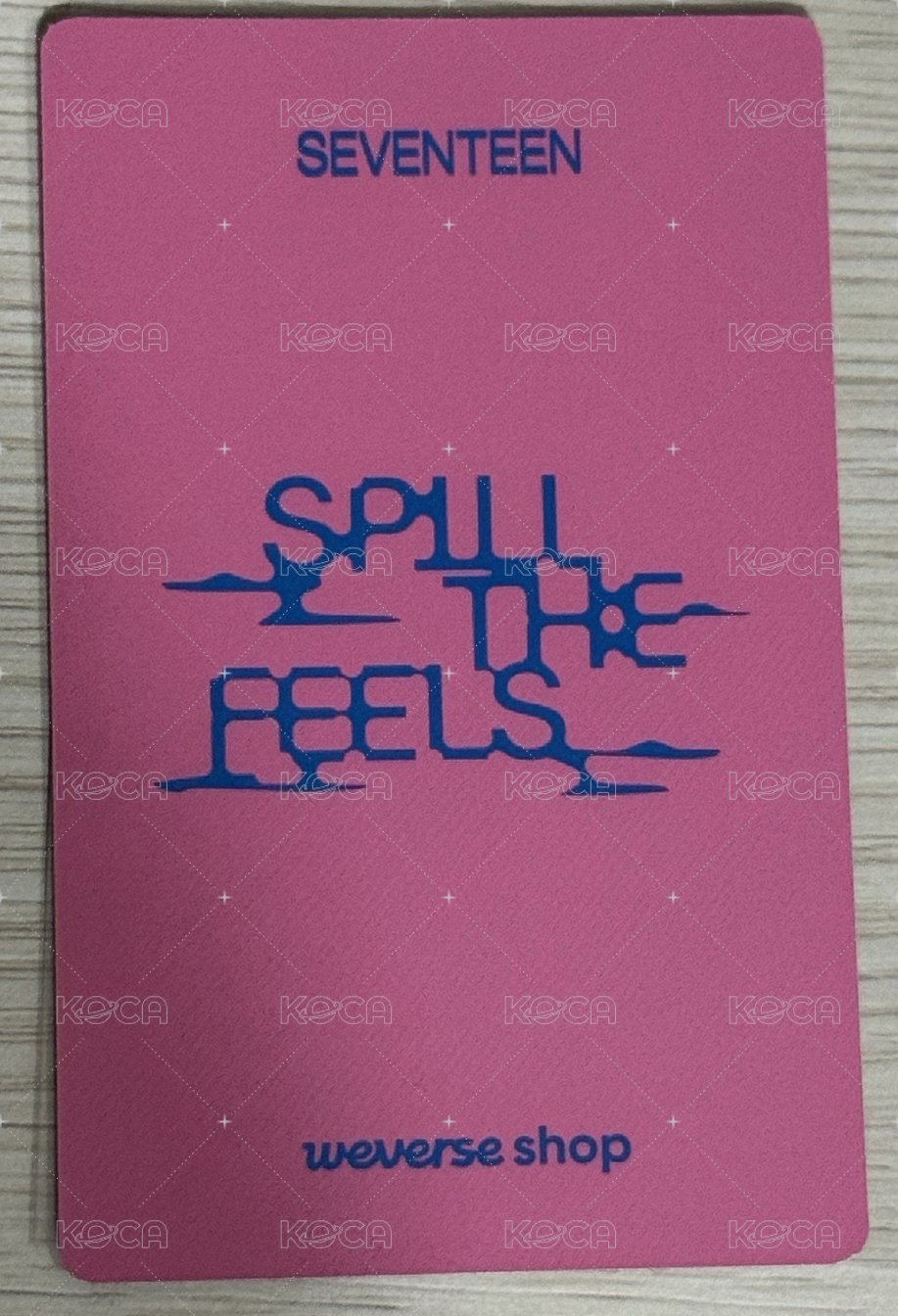 MINI12 wvs CARAT ver 特典卡  背面