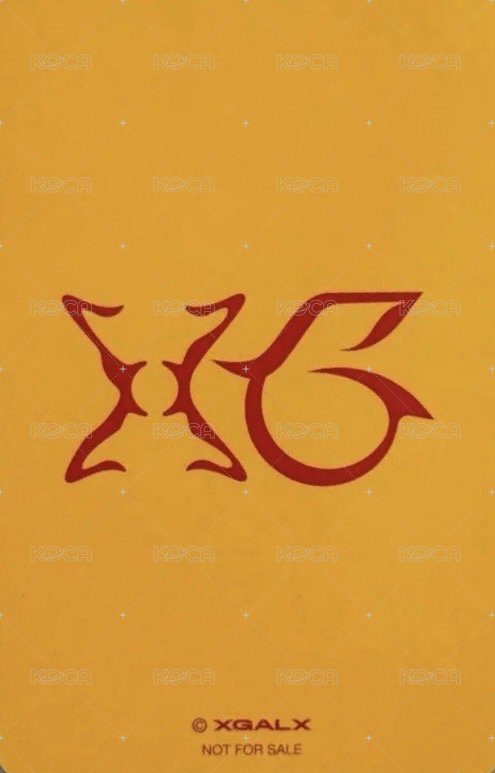 MP 塔店 澀谷 幸運卡  背面