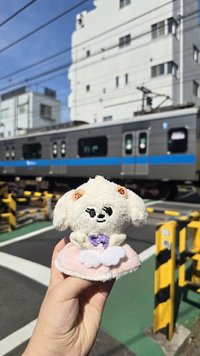 蹦Q小熊