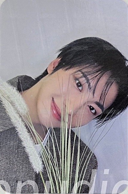 GH3 dmm 特典卡 狗尾草 ver. 背面