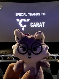 pubi