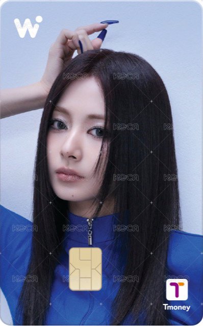 WOWPASS 交通卡 wowpass 正面