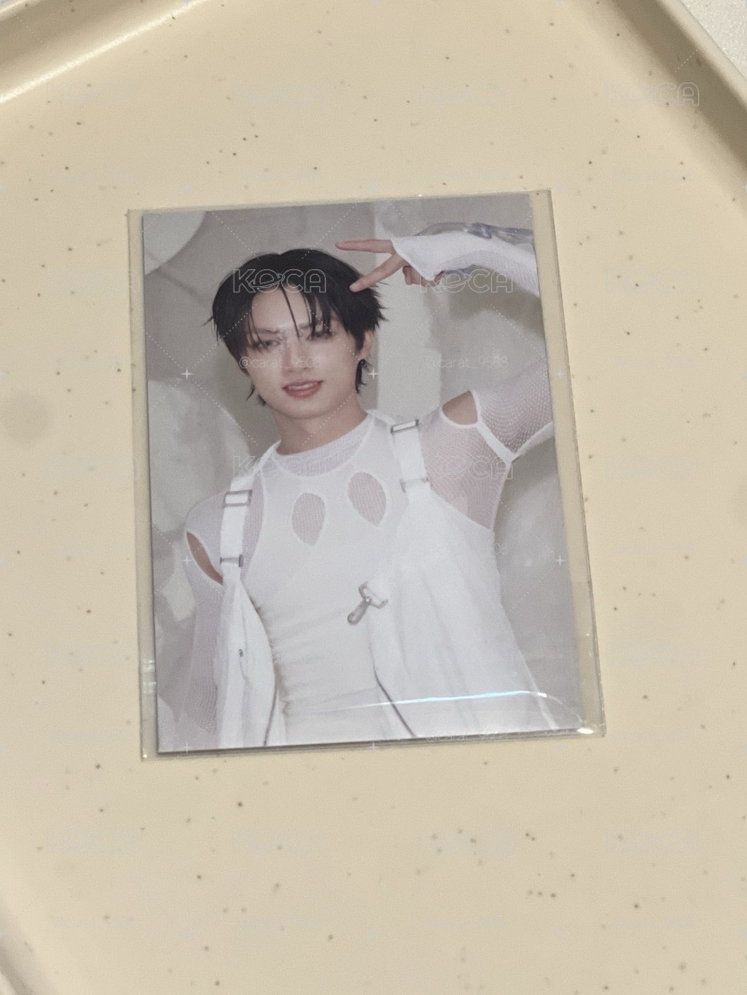 🧩文俊輝 正五 wvsjp 風琴卡