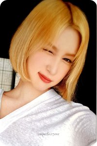 Daily WJSN(FILM MINI BOOK ver.) 周邊卡 