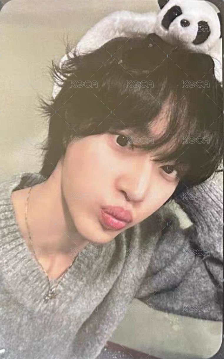 愛寶樂園 入場卡 / 場限卡 二期門票卡 正面